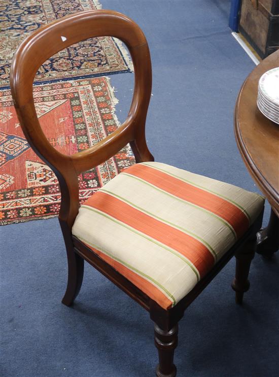 A set of eight balloon back mahogany dining chairs